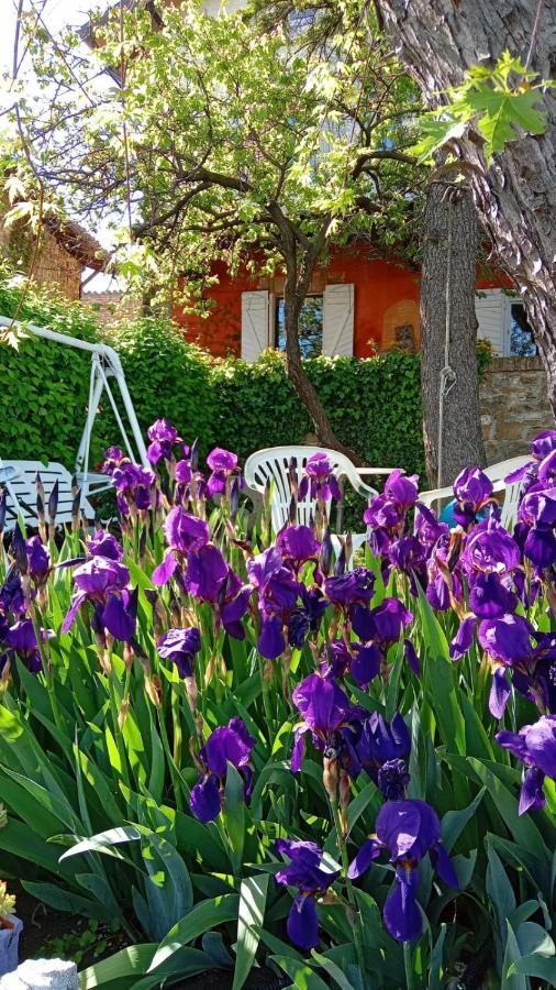 Гостьовий будинок Morelli House Montalbo Екстер'єр фото